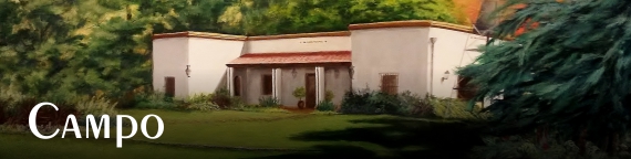 Galeria - Campo
