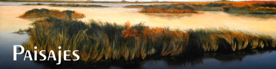 Galeria - Paisajes